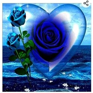 Meet your Posher, Shirley